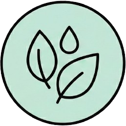 Leaves with water drop